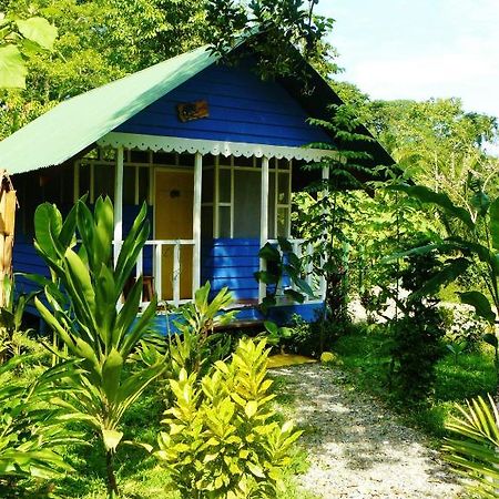 Hotel Casitas Mar Y Luz Puerto Viejo de Talamanca Eksteriør billede