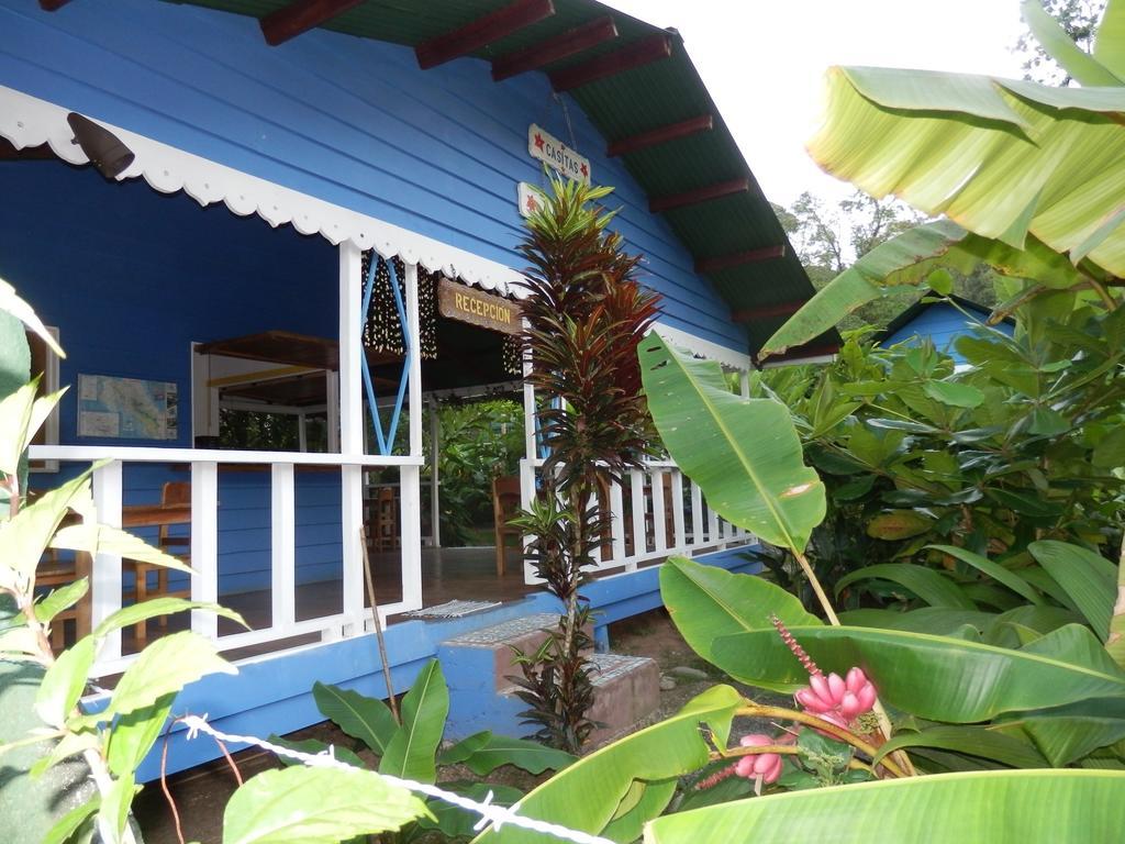 Hotel Casitas Mar Y Luz Puerto Viejo de Talamanca Eksteriør billede