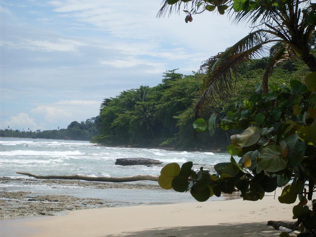 Hotel Casitas Mar Y Luz Puerto Viejo de Talamanca Eksteriør billede