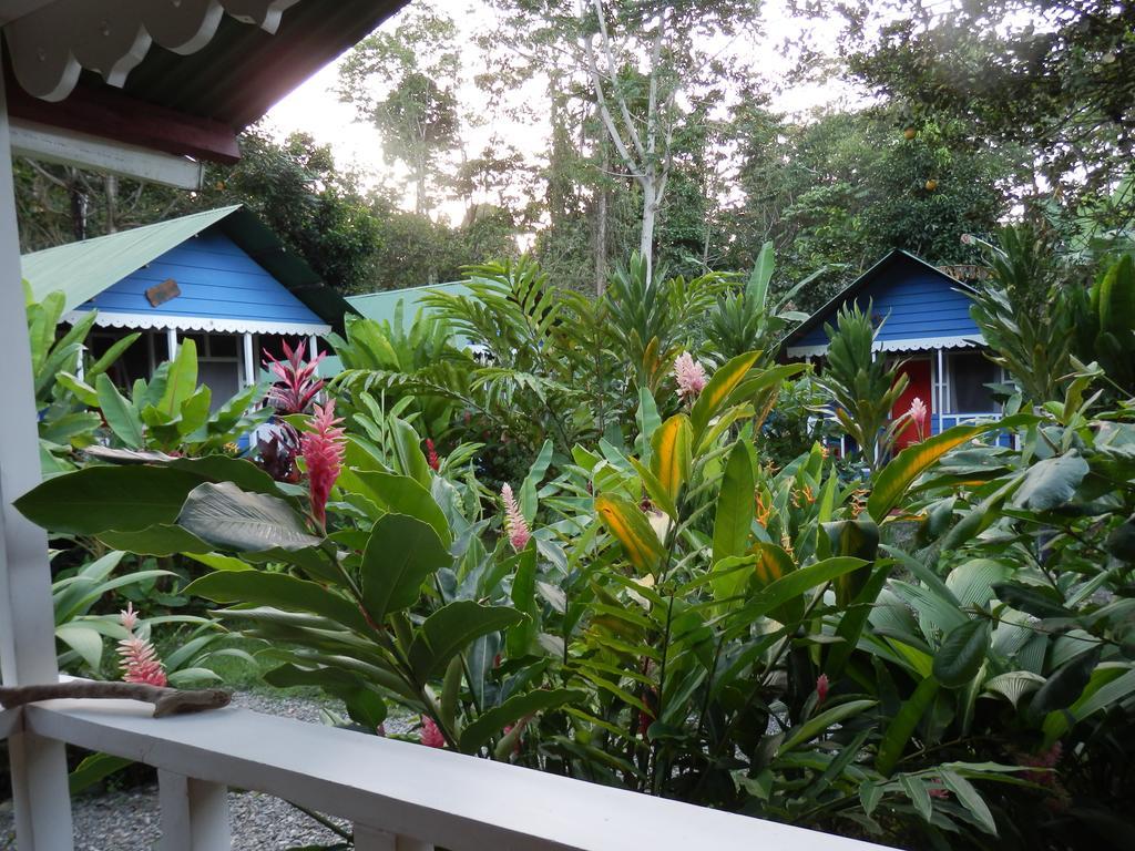 Hotel Casitas Mar Y Luz Puerto Viejo de Talamanca Eksteriør billede