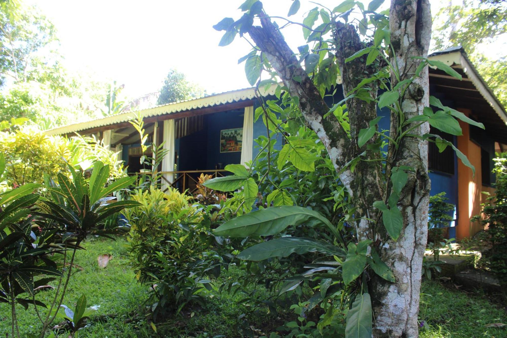 Hotel Casitas Mar Y Luz Puerto Viejo de Talamanca Eksteriør billede