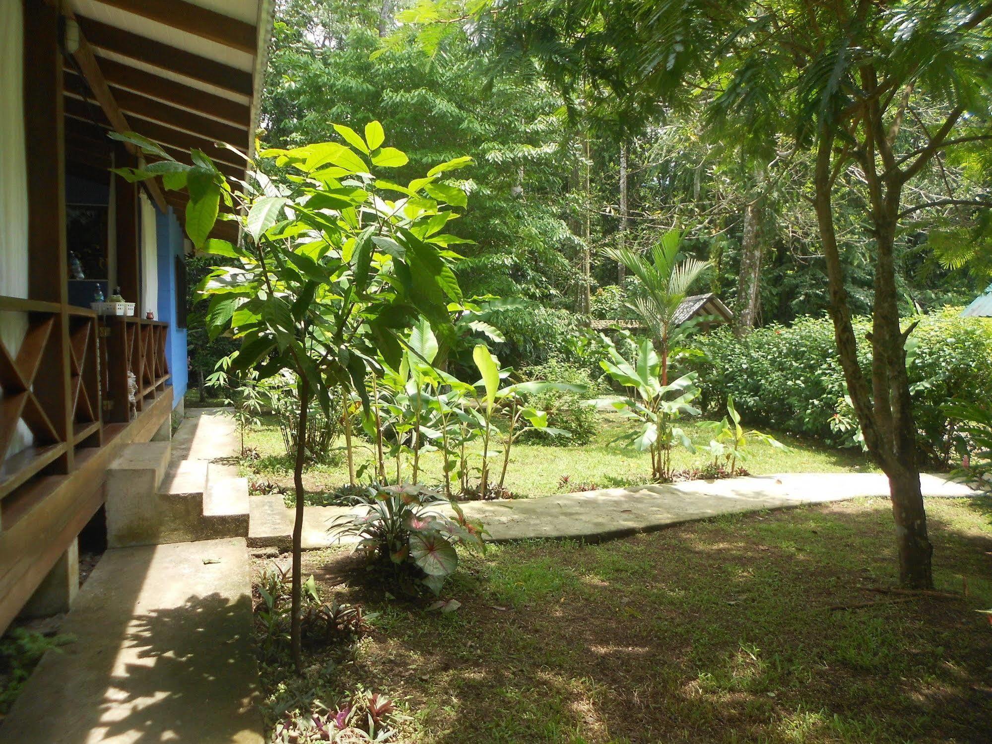 Hotel Casitas Mar Y Luz Puerto Viejo de Talamanca Eksteriør billede