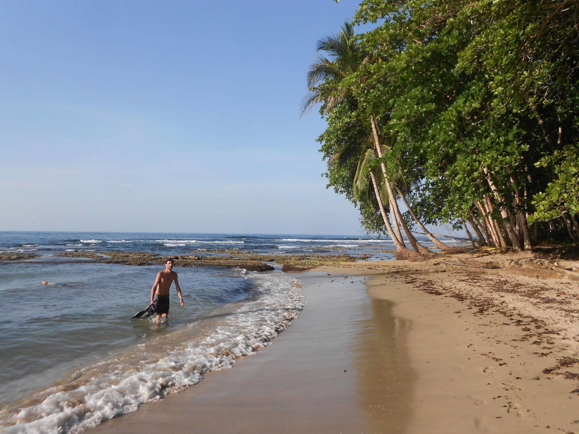 Hotel Casitas Mar Y Luz Puerto Viejo de Talamanca Eksteriør billede