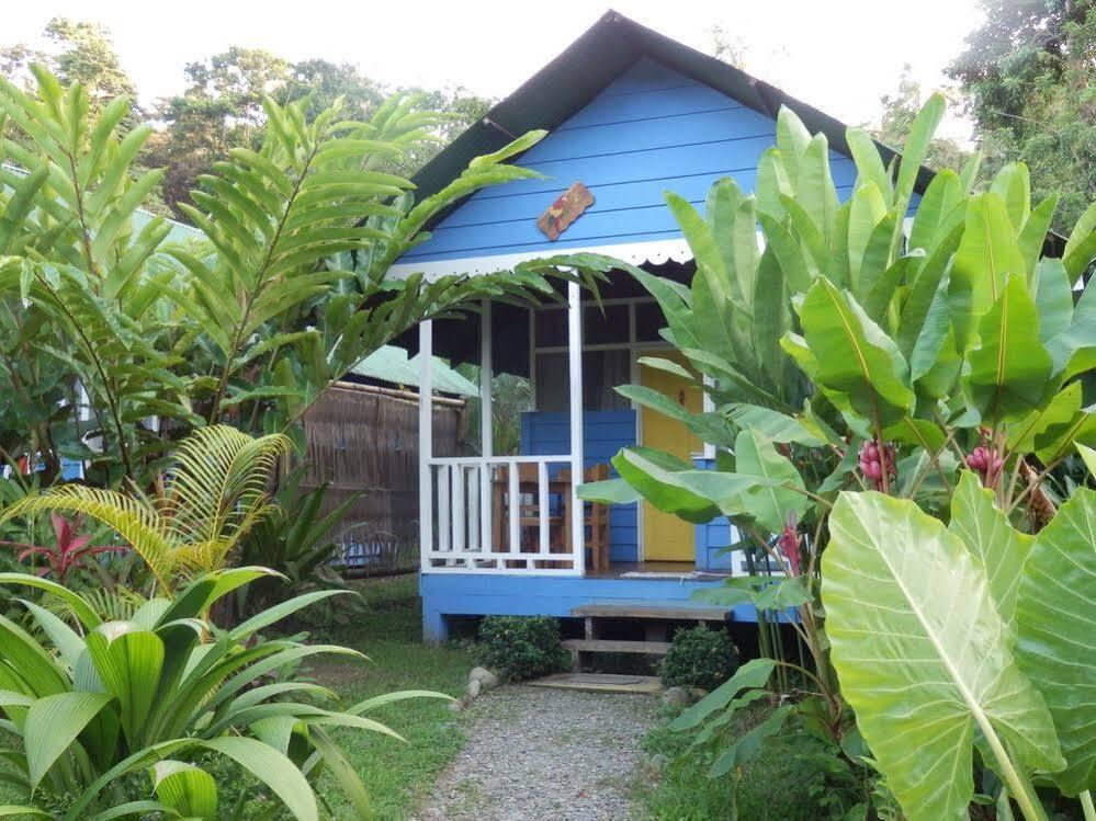 Hotel Casitas Mar Y Luz Puerto Viejo de Talamanca Eksteriør billede
